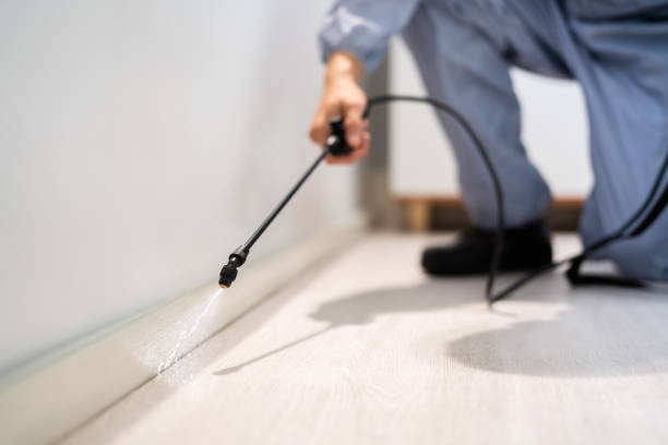 Bed Bug Pre-Treatment Preparation Assessment in Milliken