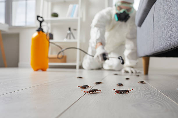 Post-Treatment Bed Bug Interceptor Monitoring in Milliken